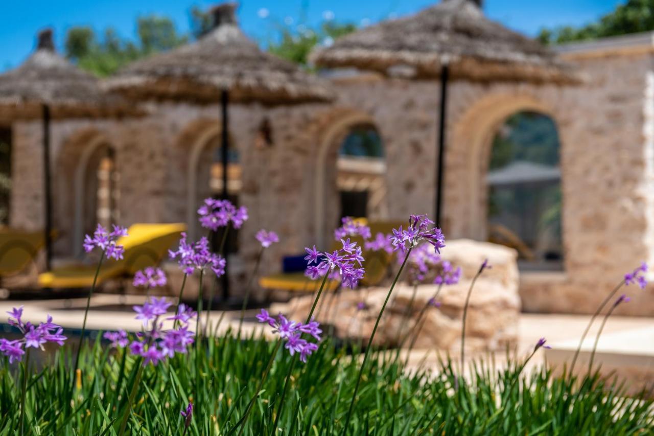 Bed and Breakfast Absolu Beldi As-Suwajra Zewnętrze zdjęcie